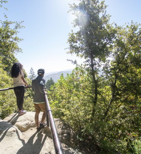 1 - inspiration point