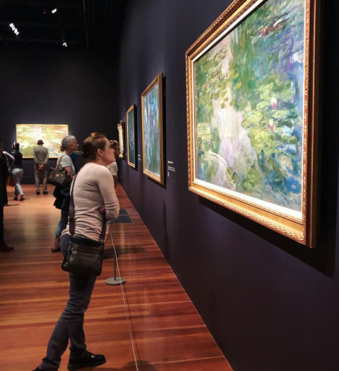 Screen Shot 2019-11-18 at 10.38.41 AM