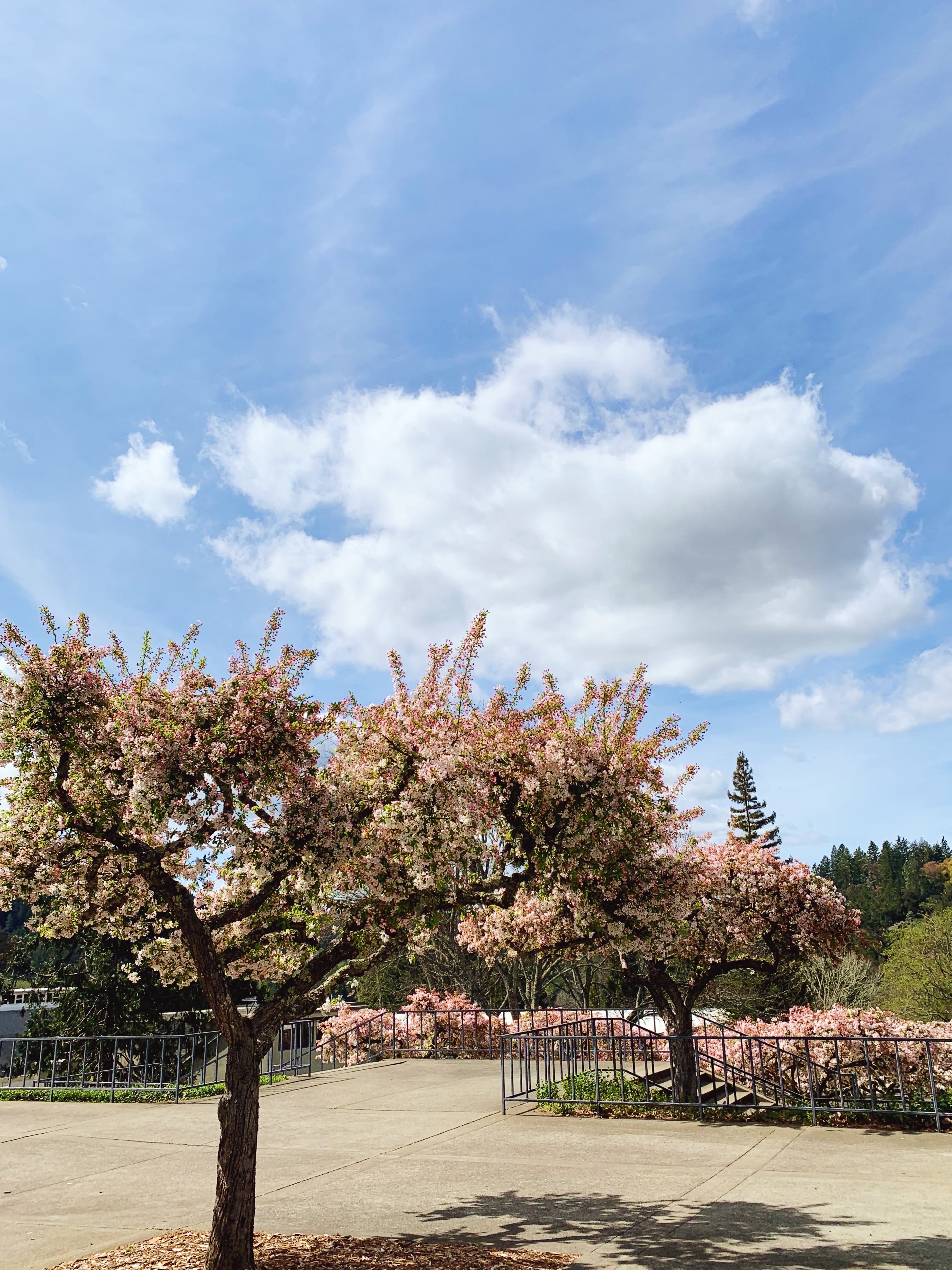 Processed with VSCO with s1 preset