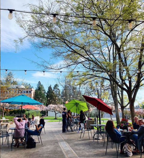 Screen Shot 2020-08-11 at 2.32.01 PM