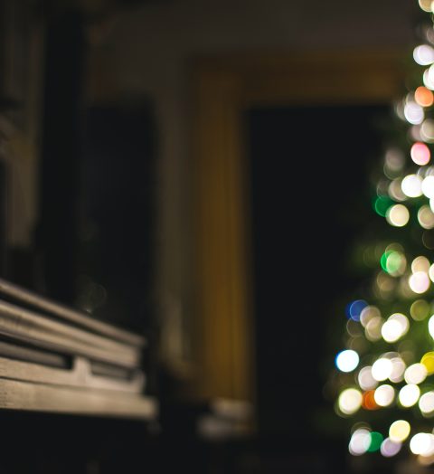 steve-halama-0xeqJ06wGRo-unsplash (1)