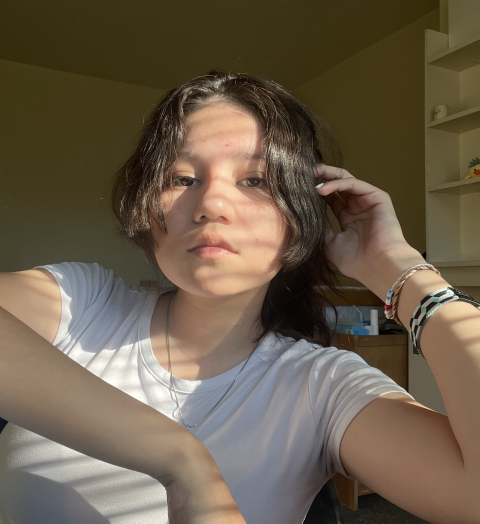 Allison M. Arenas-Sosa.