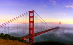 dreamstime_xxl_27206428