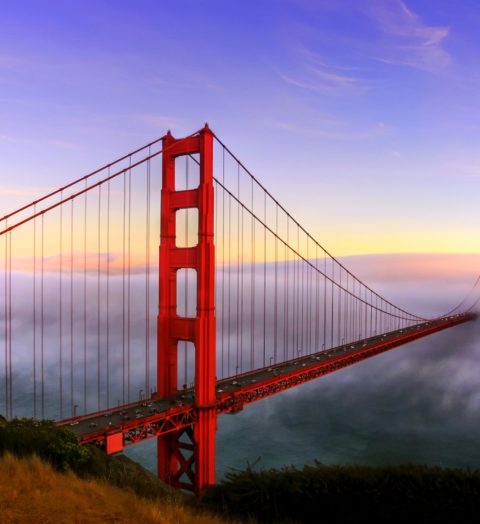 dreamstime_xxl_27206428